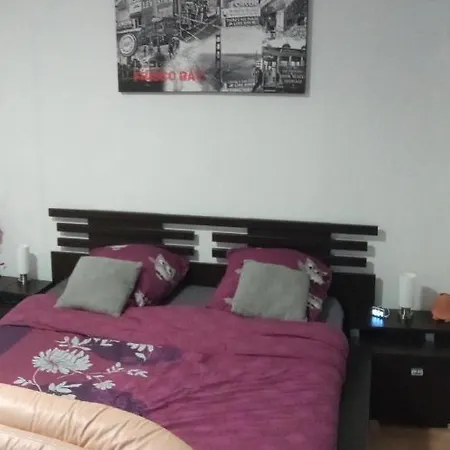 Classe 3 Etoiles Au Coeur De Apartment Niederbronn-les-Bains